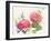 Watercolor Hydrangea-Danhui Nai-Framed Art Print