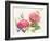 Watercolor Hydrangea-Danhui Nai-Framed Art Print