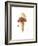 Watercolor Ice Cream Cone I-Lanie Loreth-Framed Art Print