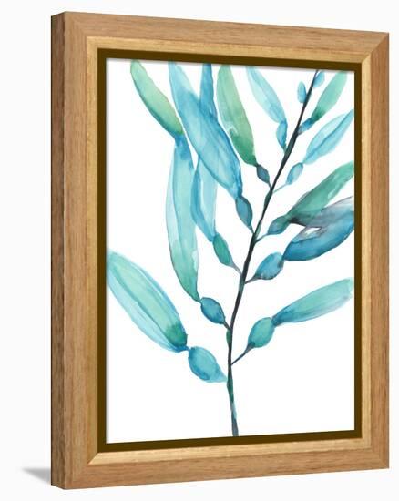 Watercolor Kelp I-Jennifer Goldberger-Framed Stretched Canvas