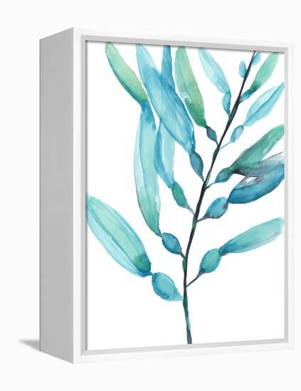 Watercolor Kelp I-Jennifer Goldberger-Framed Stretched Canvas