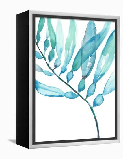 Watercolor Kelp II-Jennifer Goldberger-Framed Stretched Canvas