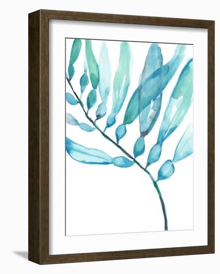 Watercolor Kelp II-Jennifer Goldberger-Framed Art Print