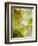 Watercolor - landscape - 211005-Pol Ledent-Framed Premium Giclee Print