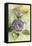 Watercolor Lavender Floral II-Lanie Loreth-Framed Stretched Canvas