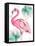 Watercolor Leaf Flamingo I-Patricia Pinto-Framed Stretched Canvas