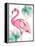 Watercolor Leaf Flamingo I-Patricia Pinto-Framed Stretched Canvas