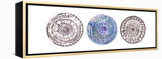 Watercolor Mandalas 2-Lora Gold-Framed Stretched Canvas
