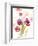 Watercolor Modern Poppies-Lanie Loreth-Framed Premium Giclee Print