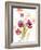 Watercolor Modern Poppies-Lanie Loreth-Framed Art Print