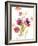 Watercolor Modern Poppies-Lanie Loreth-Framed Art Print