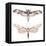 Watercolor Moth Set-Eisfrei-Framed Stretched Canvas