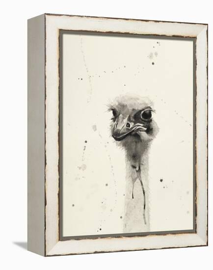 Watercolor Ostrich 2-Ben Gordon-Framed Premier Image Canvas