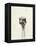 Watercolor Ostrich 2-Ben Gordon-Framed Premier Image Canvas