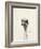 Watercolor Ostrich 2-Ben Gordon-Framed Giclee Print