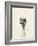 Watercolor Ostrich 2-Ben Gordon-Framed Giclee Print