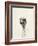 Watercolor Ostrich 2-Ben Gordon-Framed Giclee Print