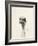 Watercolor Ostrich 2-Ben Gordon-Framed Giclee Print