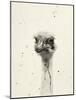 Watercolor Ostrich 2-Ben Gordon-Mounted Giclee Print