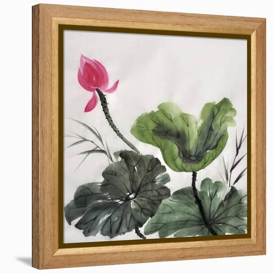 Watercolor Painting Of Lotus Flower-Surovtseva-Framed Stretched Canvas