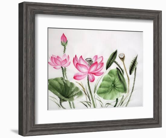 Watercolor Painting Of Pink Lotus-Surovtseva-Framed Art Print