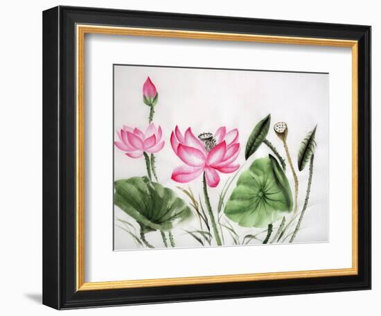 Watercolor Painting Of Pink Lotus-Surovtseva-Framed Art Print