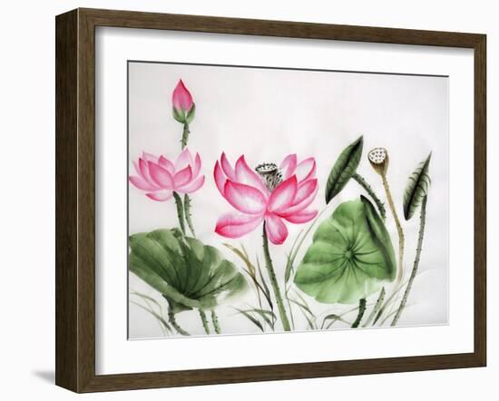 Watercolor Painting Of Pink Lotus-Surovtseva-Framed Art Print