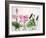 Watercolor Painting Of Pink Lotus-Surovtseva-Framed Art Print