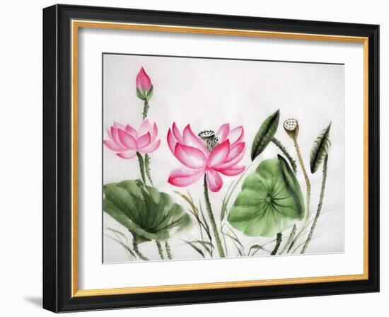 Watercolor Painting Of Pink Lotus-Surovtseva-Framed Art Print