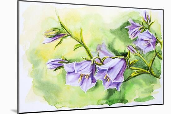 Watercolor Painting Of The Bell Flowers-Valenty-Mounted Art Print