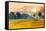 Watercolor Painting Original Landscape Colorful of Rice Field with Big Tree in Sunset and Emotion I-Tanom Kongchan-Framed Stretched Canvas