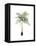 Watercolor Palm of the Tropics II-Grace Popp-Framed Stretched Canvas