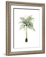 Watercolor Palm of the Tropics II-Grace Popp-Framed Art Print