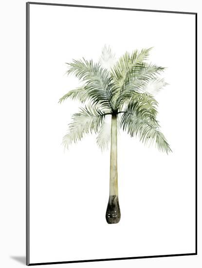 Watercolor Palm of the Tropics II-Grace Popp-Mounted Art Print