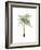 Watercolor Palm of the Tropics II-Grace Popp-Framed Art Print