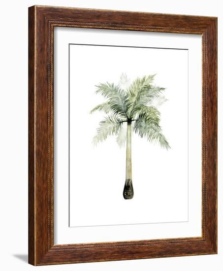 Watercolor Palm of the Tropics II-Grace Popp-Framed Premium Giclee Print