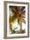 Watercolor Palms I-Emily Navas-Framed Premium Giclee Print