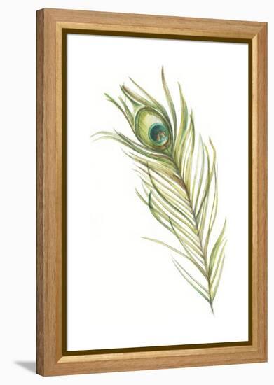 Watercolor Peacock Feather I-Ethan Harper-Framed Stretched Canvas