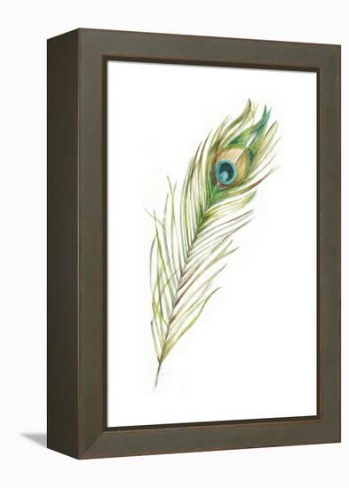 Watercolor Peacock Feather II-Ethan Harper-Framed Stretched Canvas