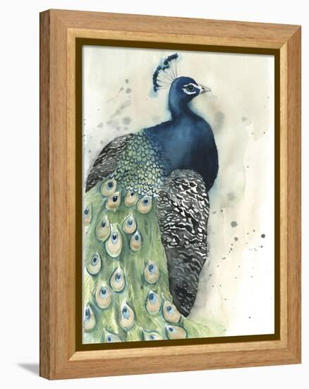 Watercolor Peacock Portrait I-Grace Popp-Framed Stretched Canvas