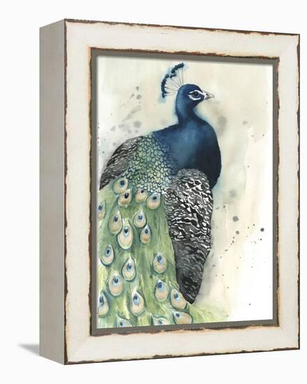 Watercolor Peacock Portrait I-Grace Popp-Framed Stretched Canvas