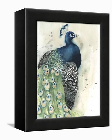 Watercolor Peacock Portrait I-Grace Popp-Framed Stretched Canvas