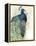 Watercolor Peacock Portrait I-Grace Popp-Framed Stretched Canvas