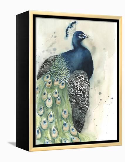 Watercolor Peacock Portrait I-Grace Popp-Framed Stretched Canvas