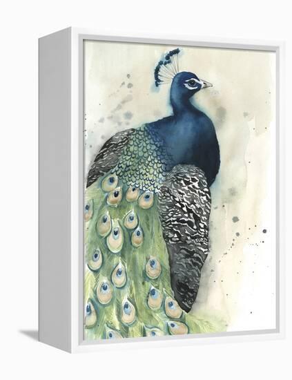 Watercolor Peacock Portrait I-Grace Popp-Framed Stretched Canvas