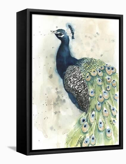 Watercolor Peacock Portrait II-Grace Popp-Framed Stretched Canvas