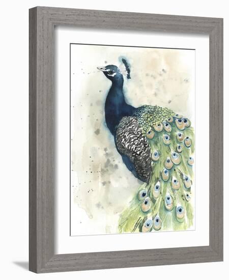 Watercolor Peacock Portrait II-Grace Popp-Framed Art Print