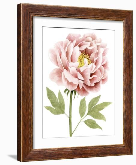 Watercolor Peony I-Grace Popp-Framed Art Print