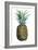 Watercolor Pineapple I-Grace Popp-Framed Art Print