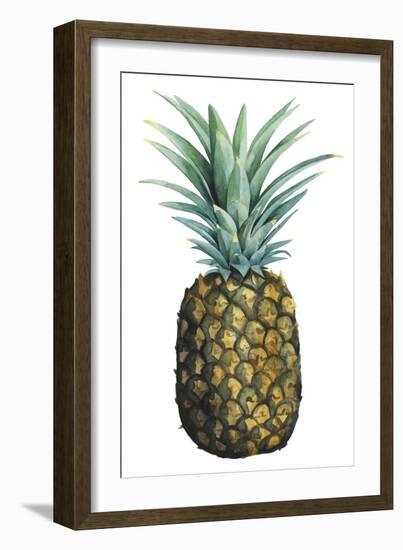 Watercolor Pineapple I-Grace Popp-Framed Art Print